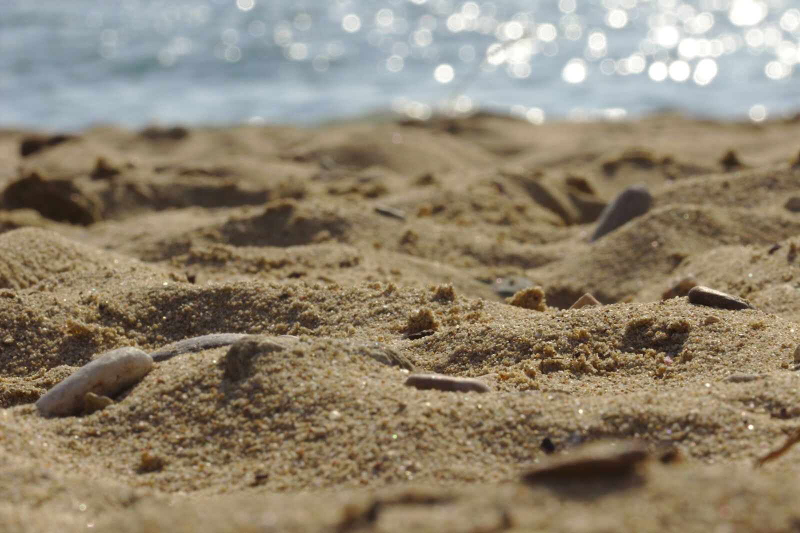 Canon EOS 600D (Rebel EOS T3i / EOS Kiss X5) sample photo. Sand, great, beach photography