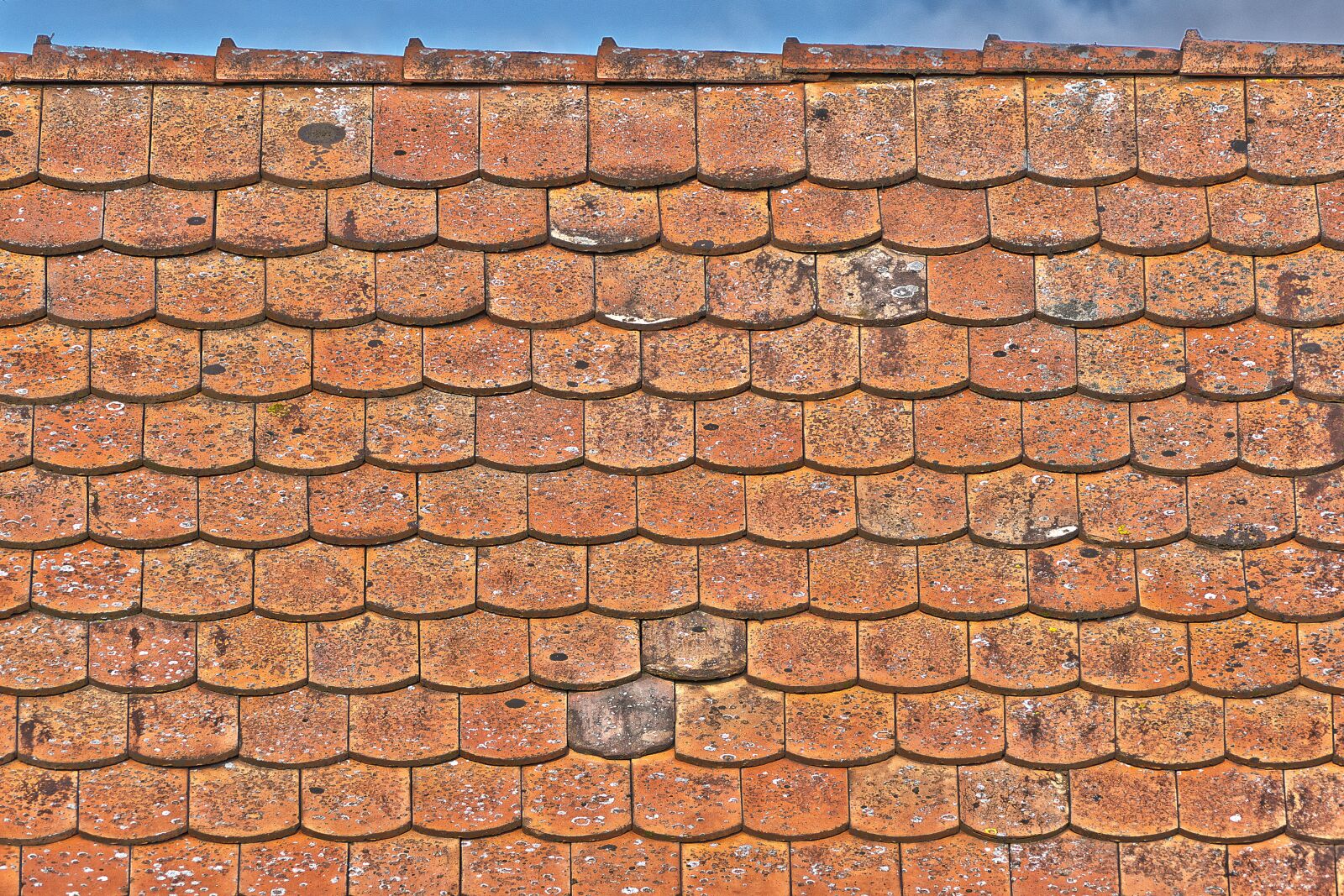 Panasonic Lumix DMC-FZ1000 sample photo. Roof, tile, first photography