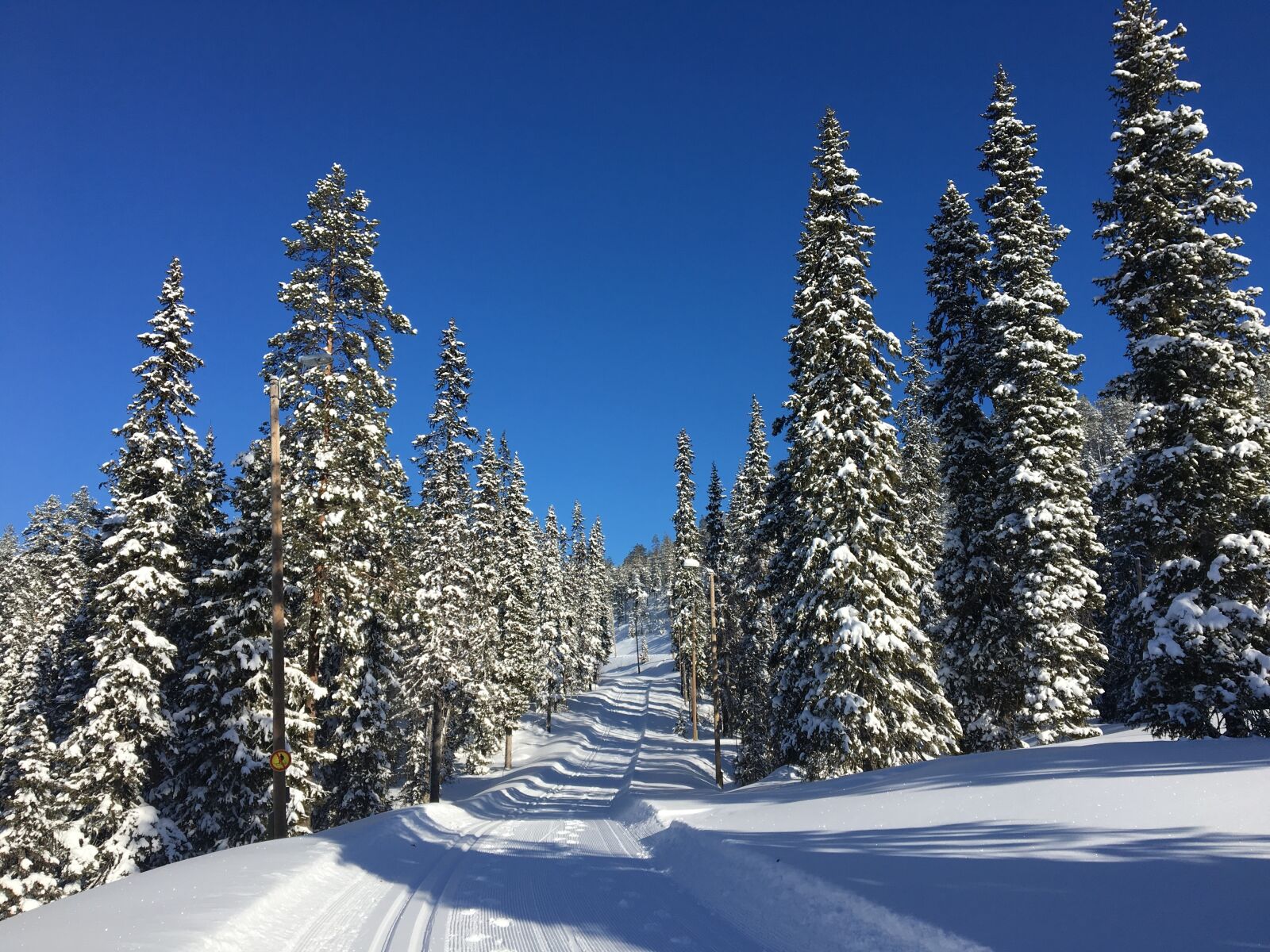 Apple iPhone 6s sample photo. Holiday, snow, winter photography