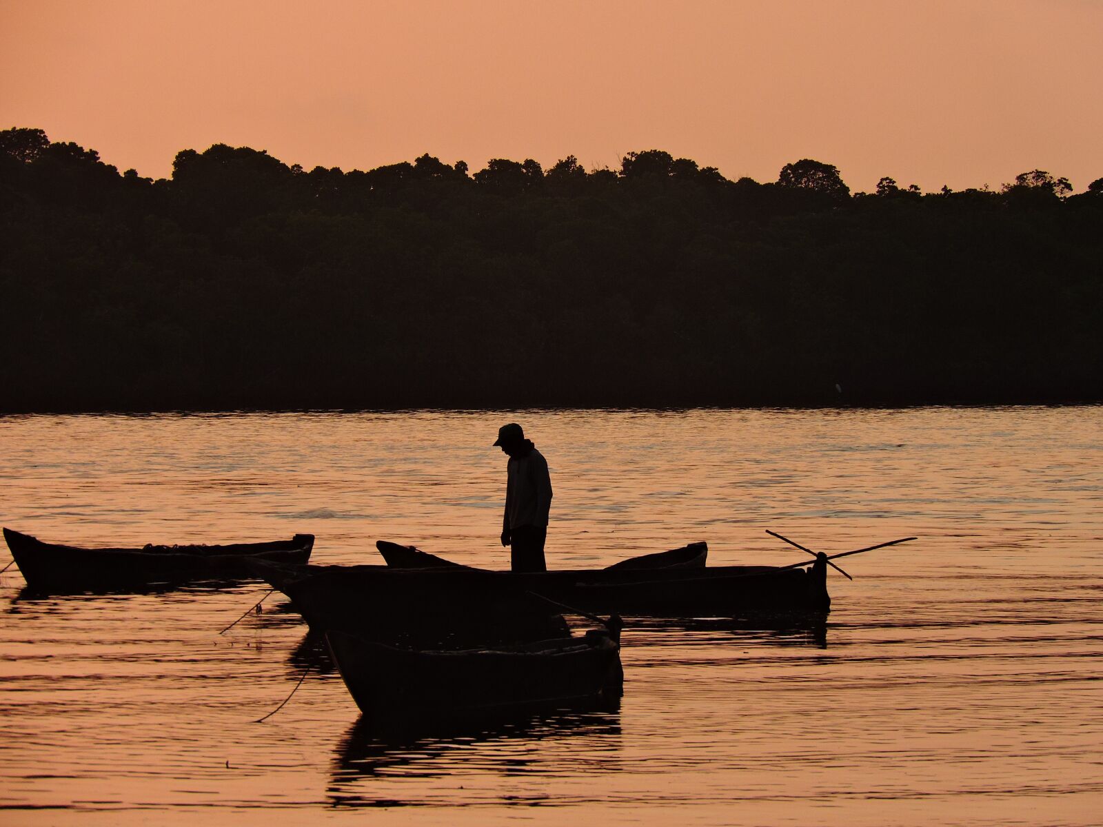 Nikon Coolpix P600 sample photo. Fisherman, seashore, morning photography