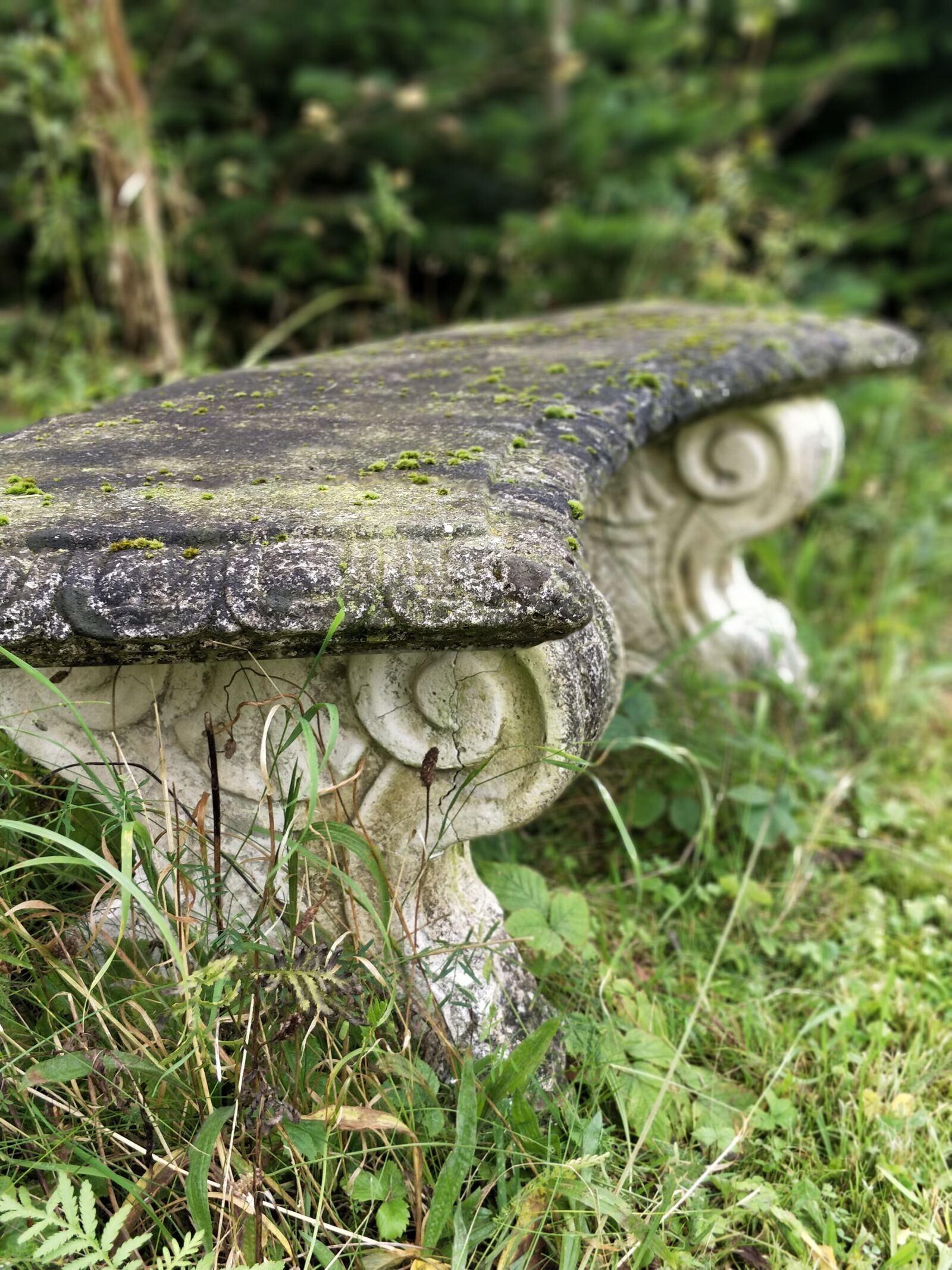 OnePlus 5 sample photo. Bench, have, ro photography
