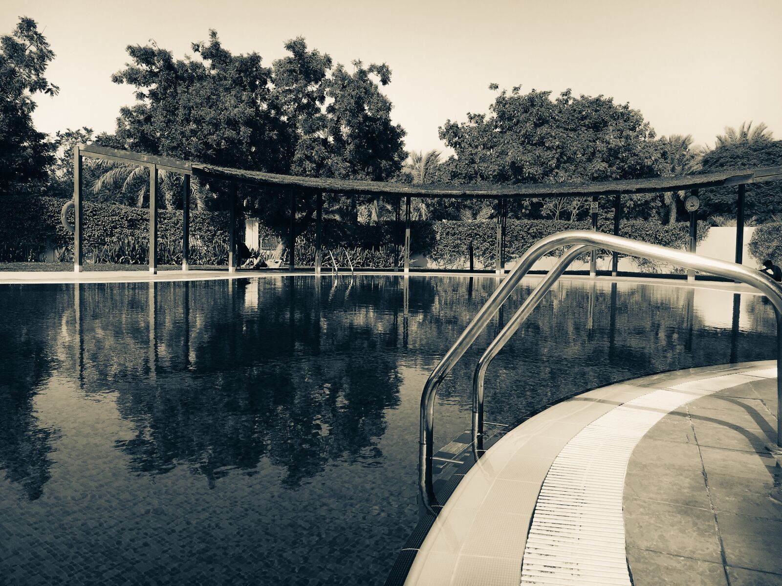 Apple iPhone 6s sample photo. Sepia, photography, of, swimming photography