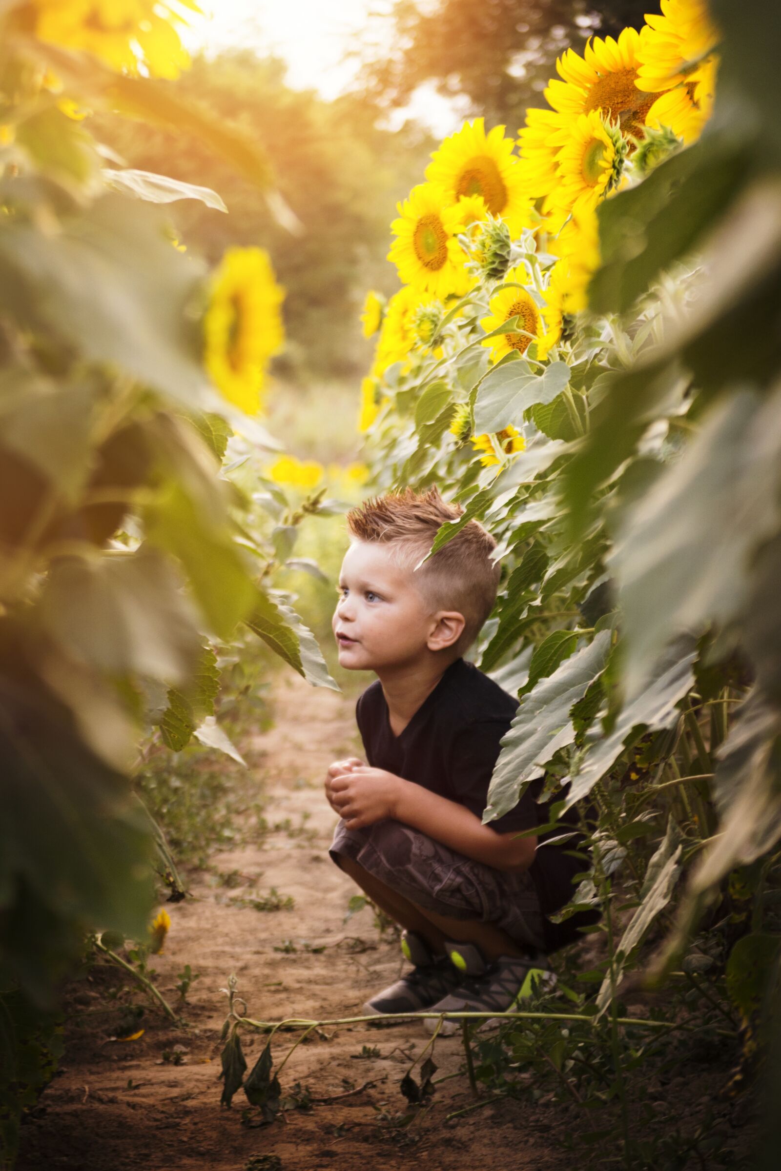 Nikon D3100 sample photo. Child, sun, sunflowers photography