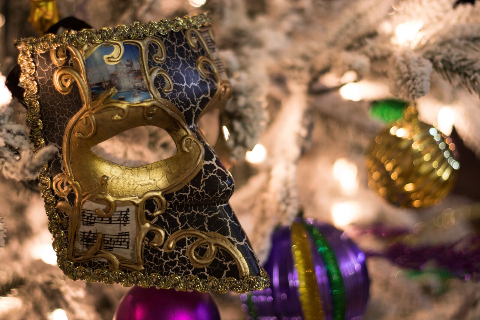 Canon EOS 800D (EOS Rebel T7i / EOS Kiss X9i) sample photo. Mardi gras, mask, costume photography