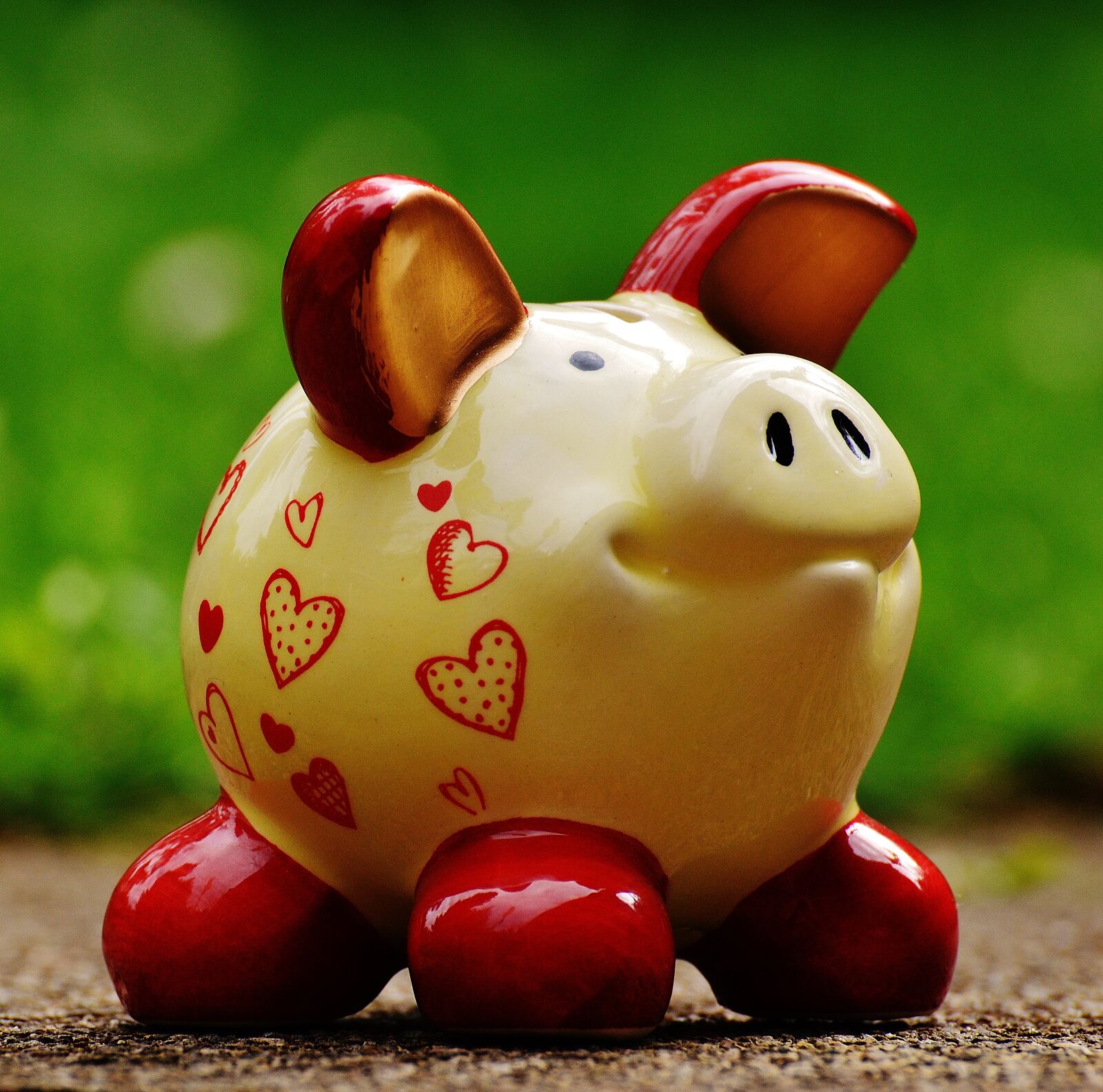 Nikon D3200 sample photo. Piggy bank, heart, funny photography