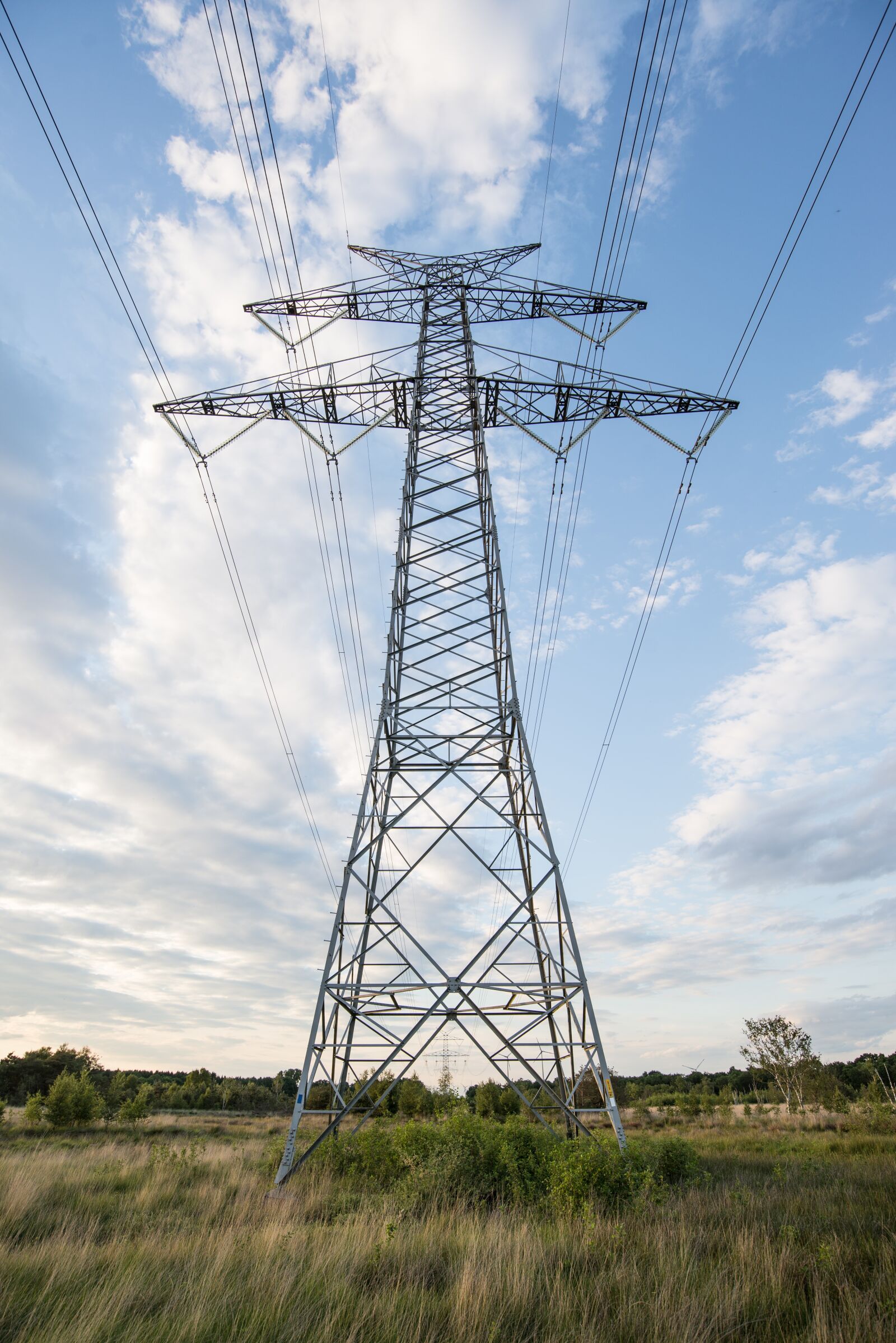 Nikon D610 sample photo. Electricity, pole, pylon photography