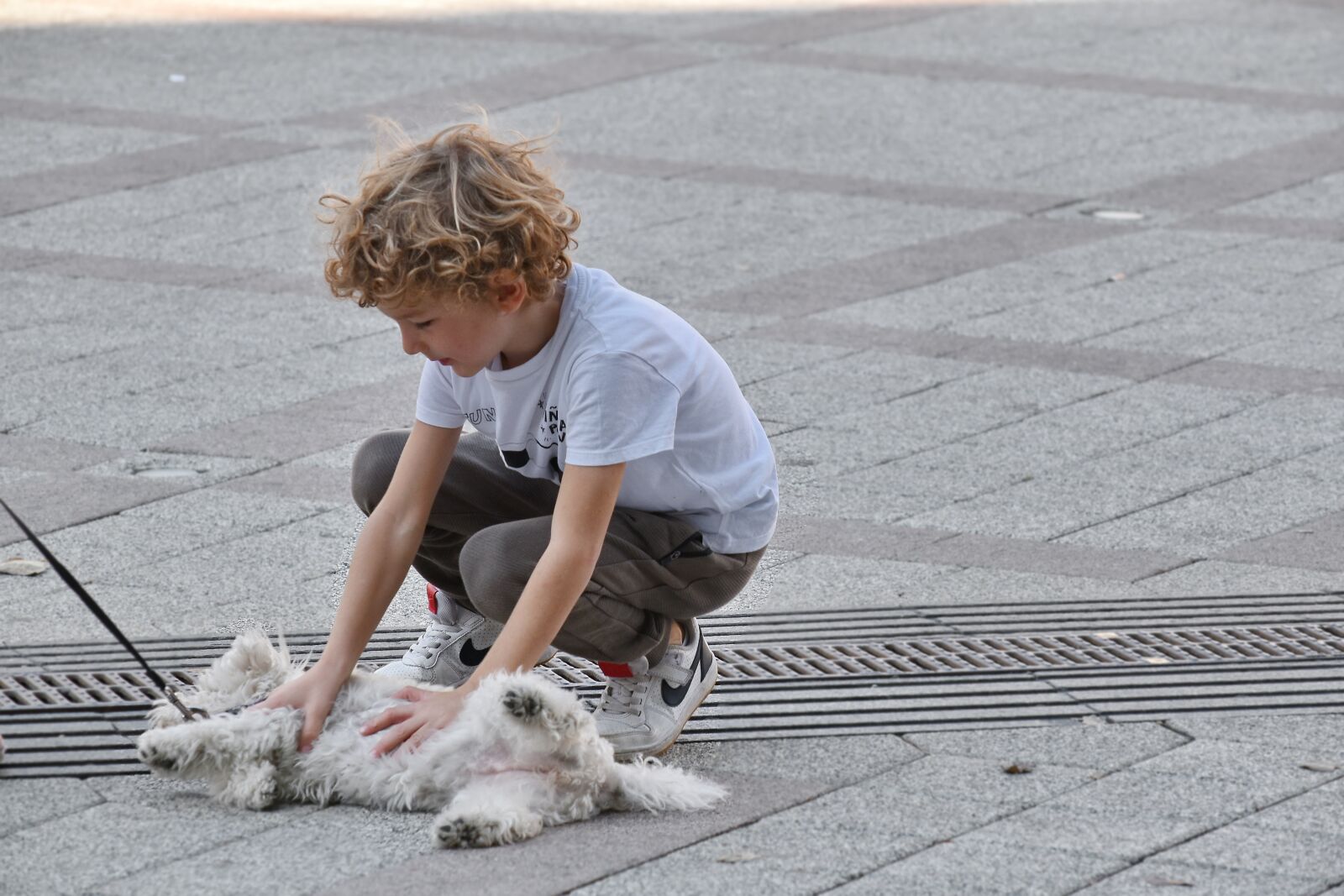 Nikon D5500 sample photo. Boy, dog, enjoyment, street photography