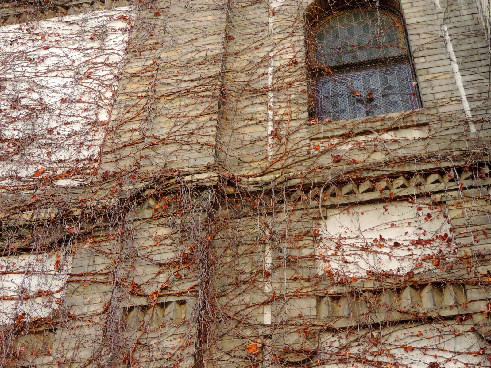 Nikon Coolpix P520 sample photo. Old, wall, brick, architecture photography