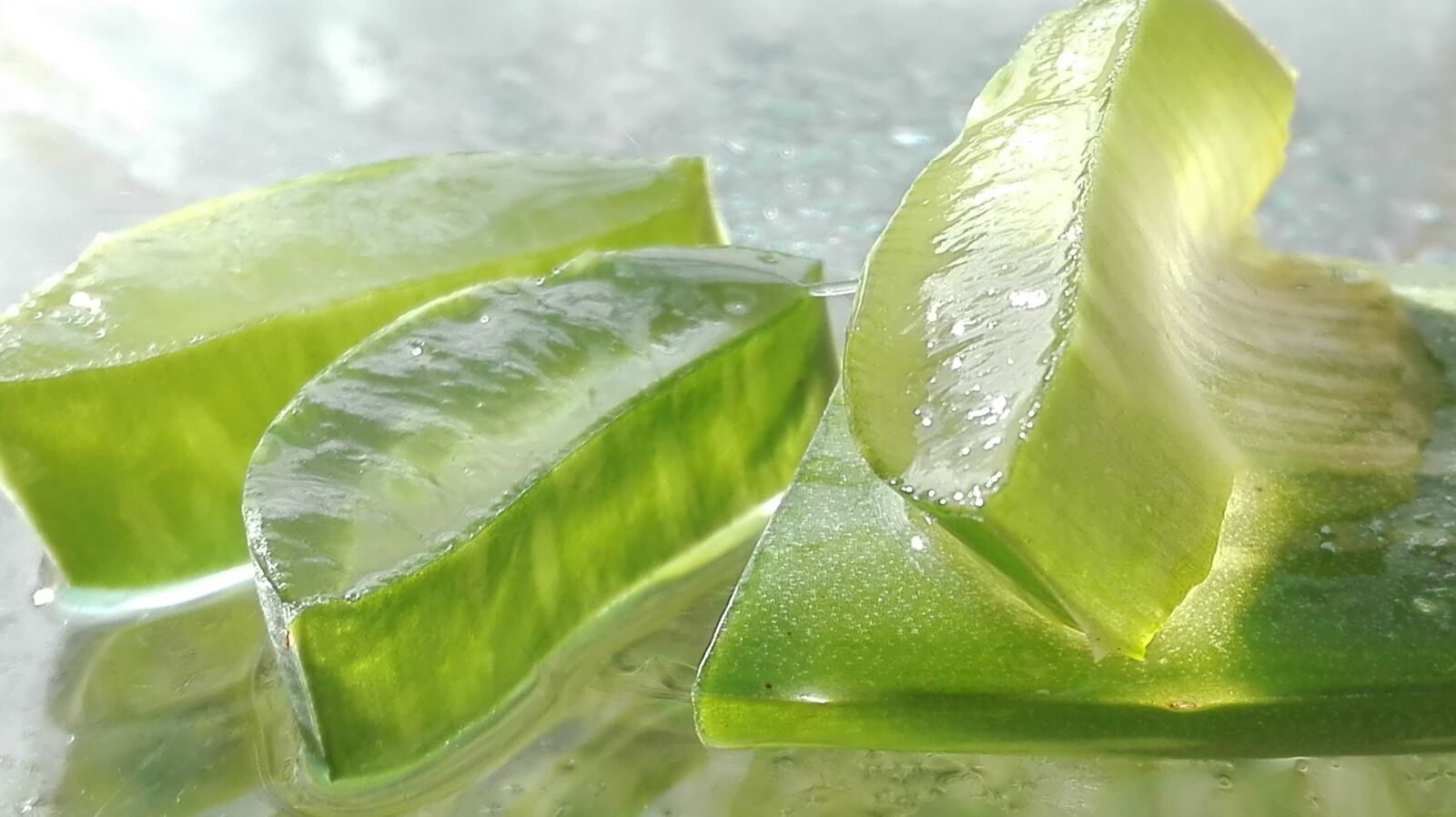HUAWEI P8 Lite sample photo. Aloe, aloe vera, aloe photography