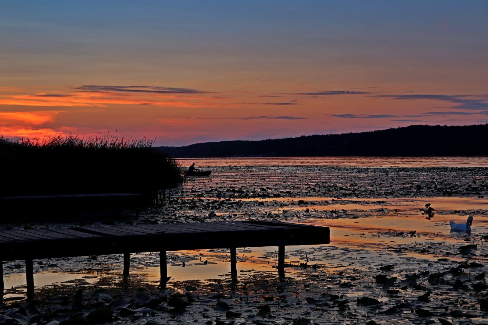 Canon EOS 80D sample photo. Sunset, the pier, sky photography