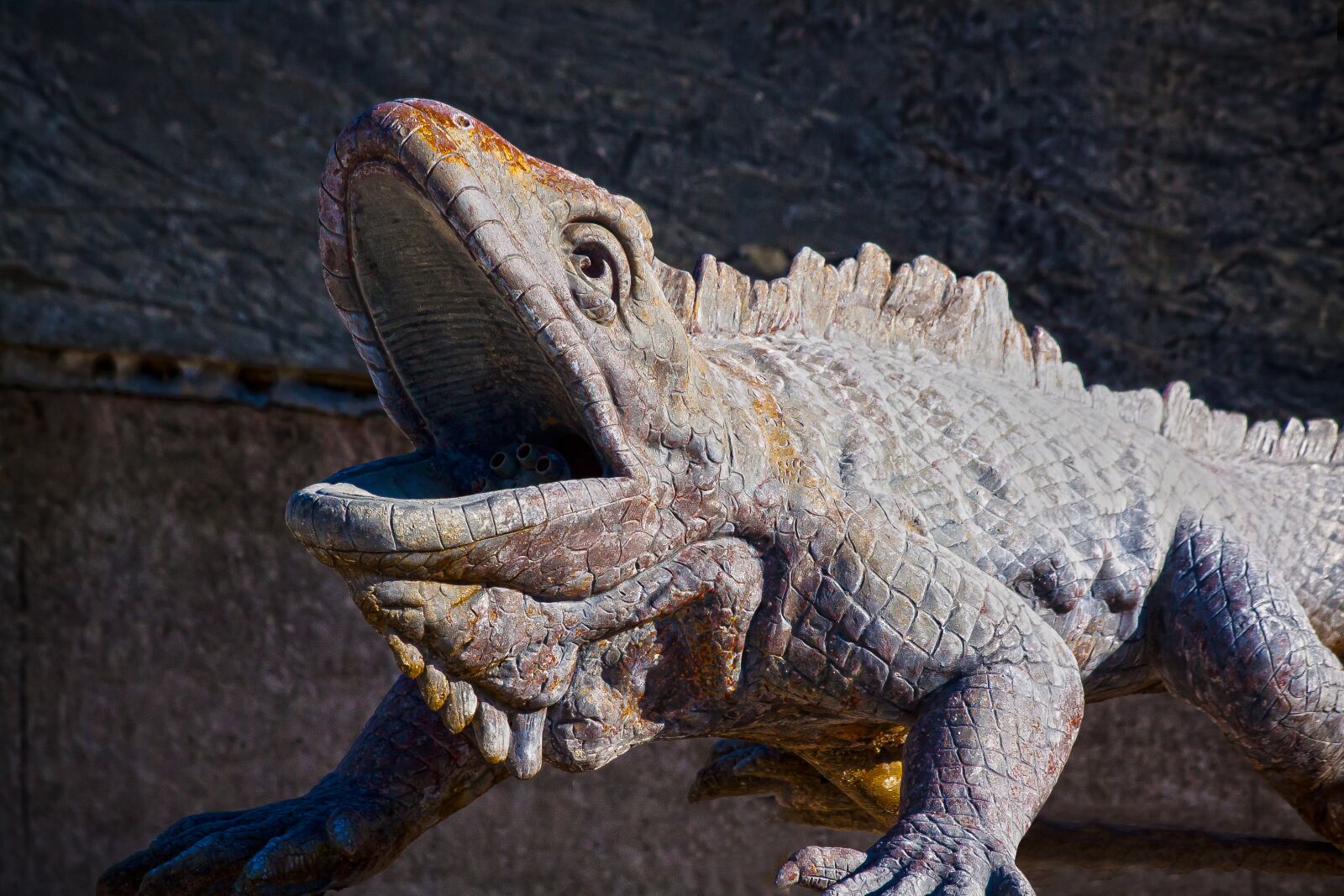 Canon EOS 50D sample photo. Iguana, manneken, lizard photography