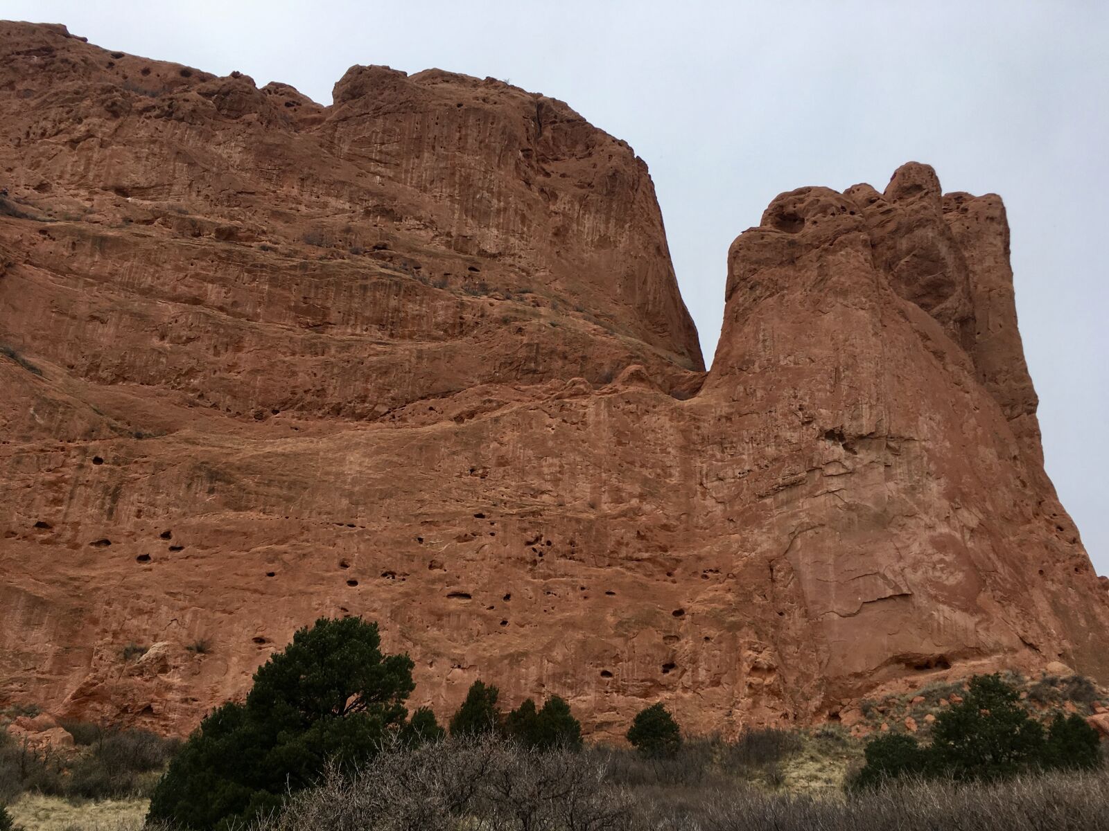iPhone SE back camera 4.15mm f/2.2 sample photo. Colorado, garden of the photography