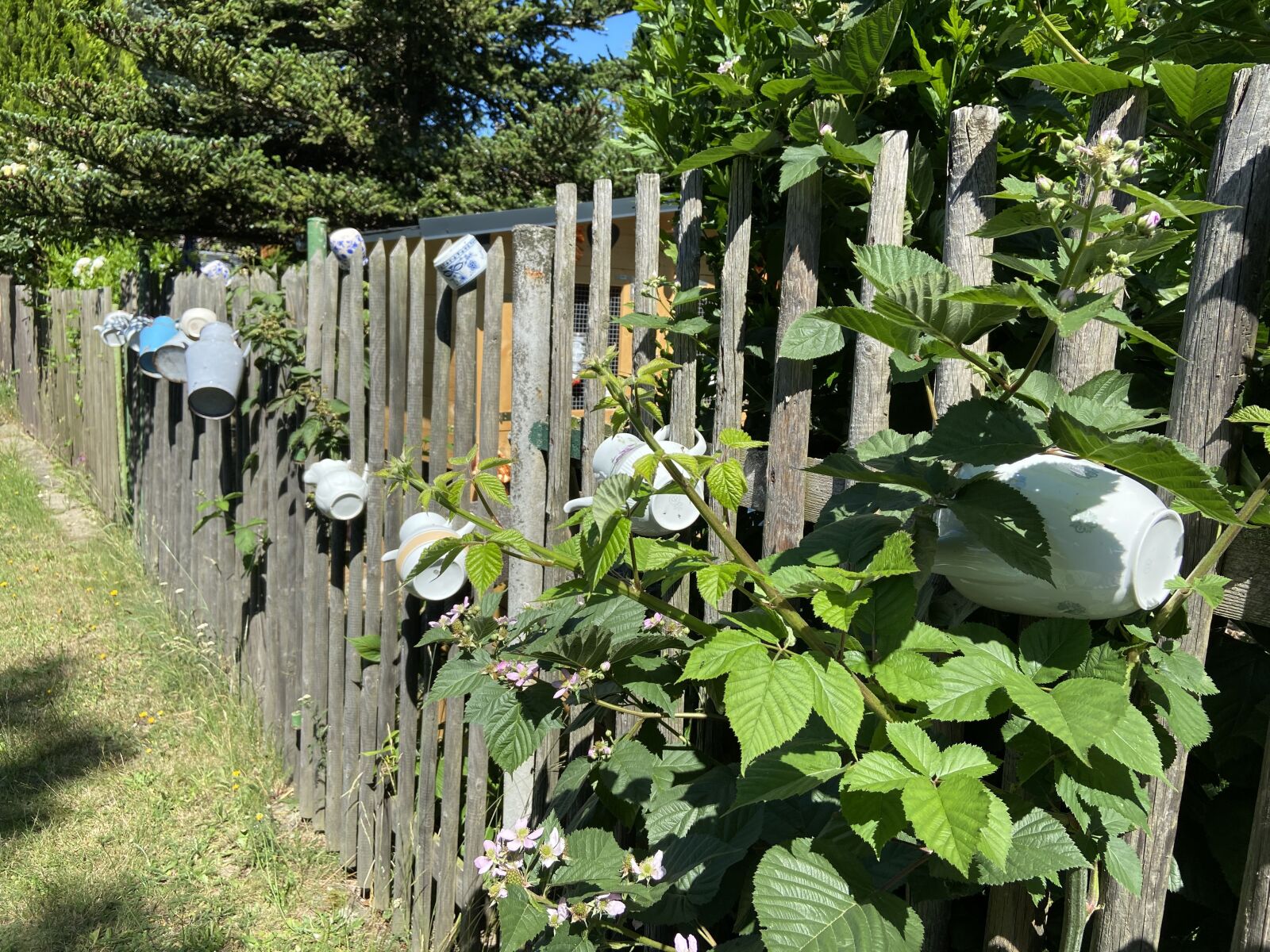 Apple iPhone 11 sample photo. Garden fence, deco, garden photography