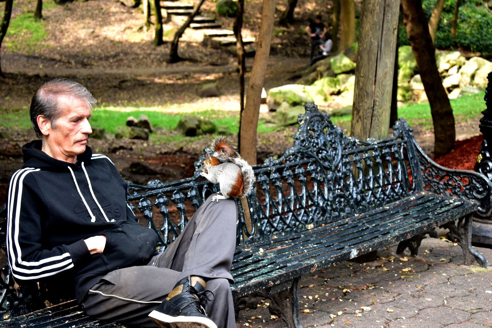 Nikon D5600 sample photo. Person, squirrel, banking photography