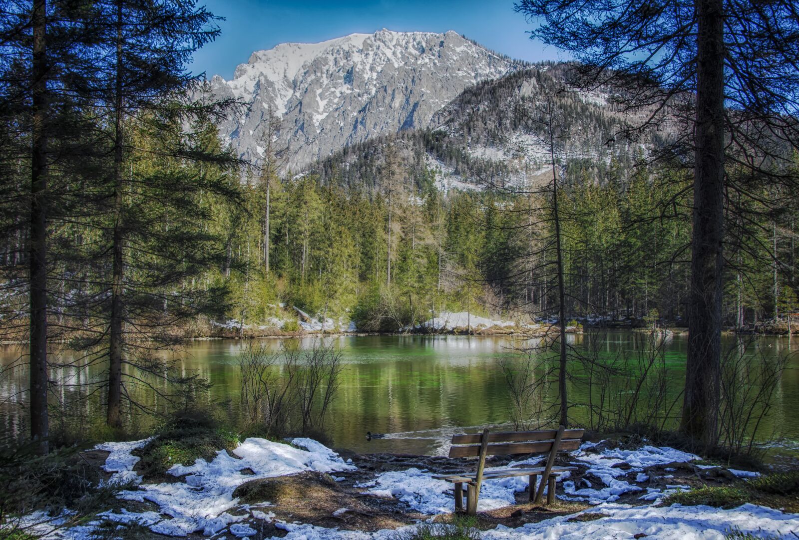 Nikon D7200 sample photo. Pad, lake, water photography