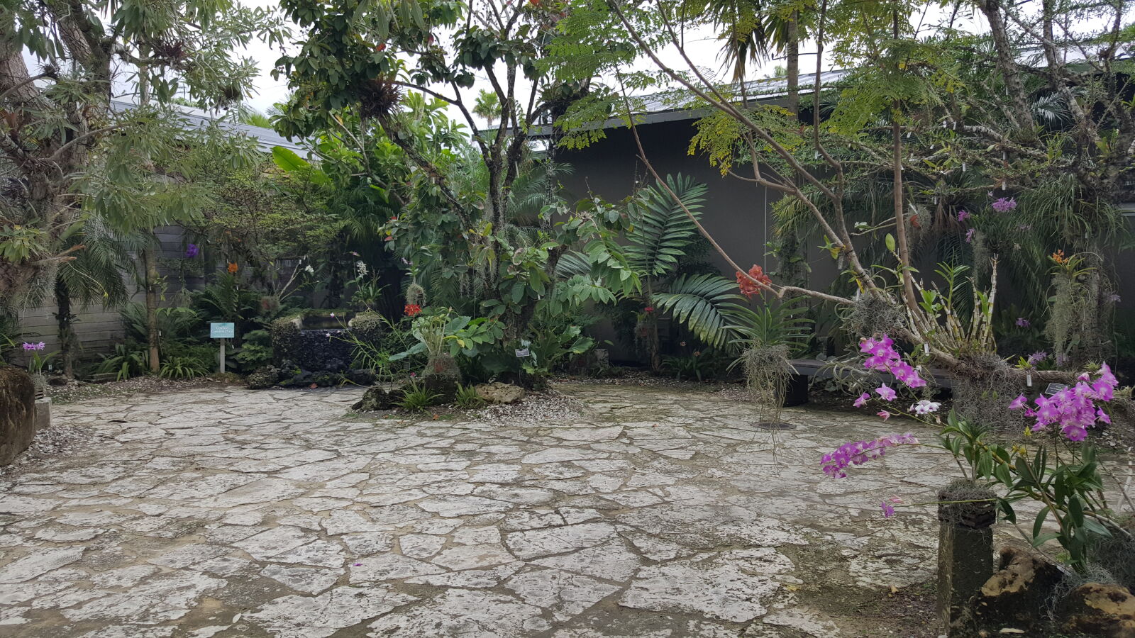 Samsung GALAXY S6 edge sample photo. Botanical, gardens photography