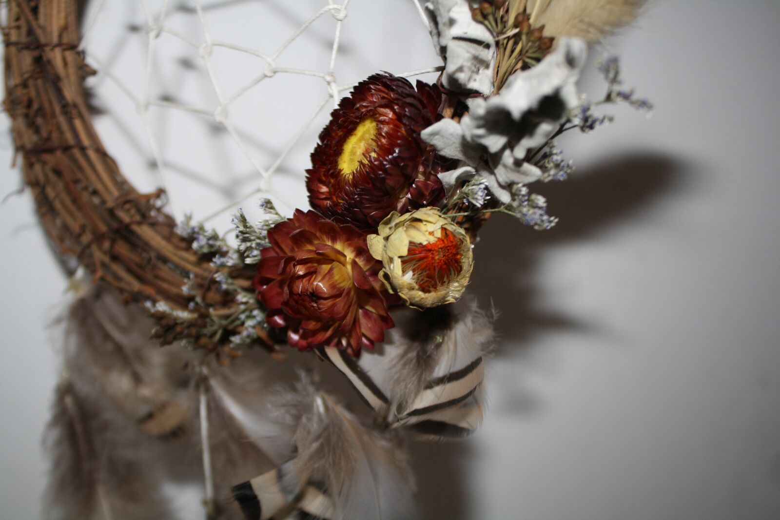 Canon EOS 1000D (EOS Digital Rebel XS / EOS Kiss F) sample photo. Catch, dream, net photography