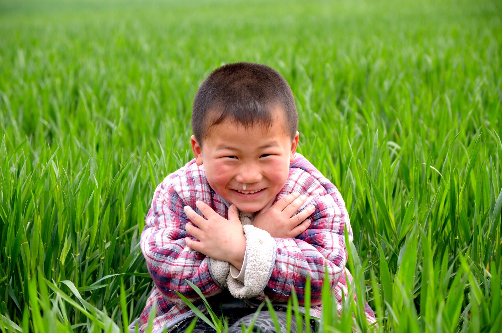 Nikon D7000 sample photo. Portrait, child, in wheat photography