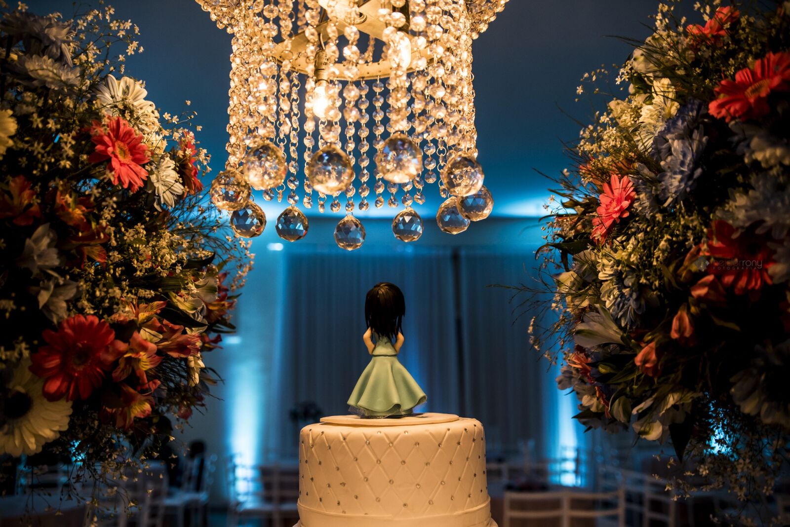 Nikon D750 sample photo. Party, decoration, congratulations photography