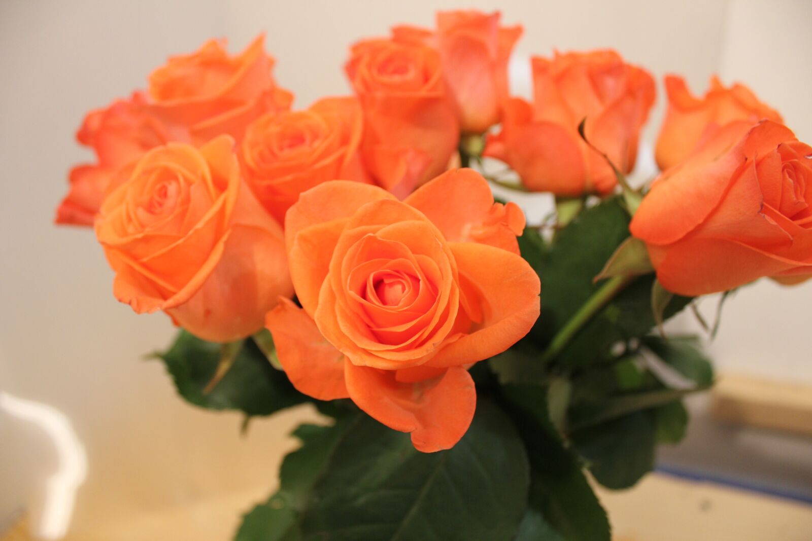 Canon EOS 550D (EOS Rebel T2i / EOS Kiss X4) sample photo. Flowers, rose, bouquet photography