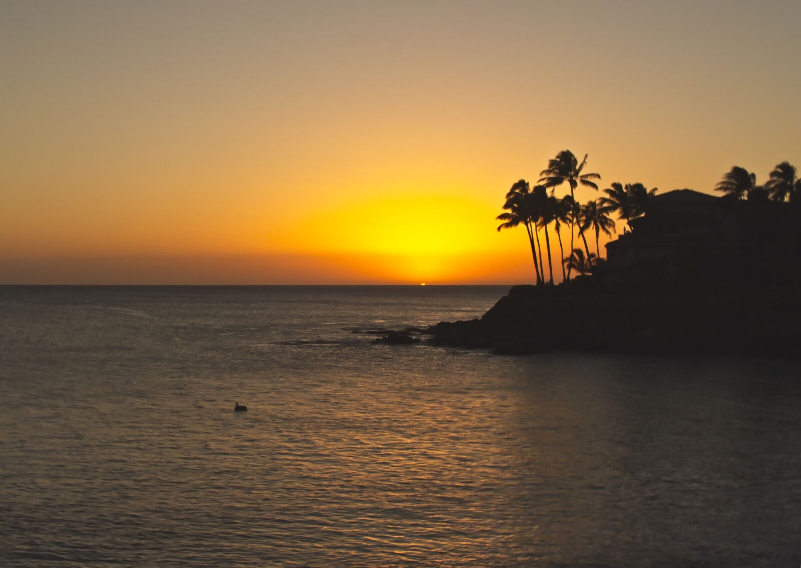 Canon PowerShot G7 X sample photo. Sunset, ocean, last light photography