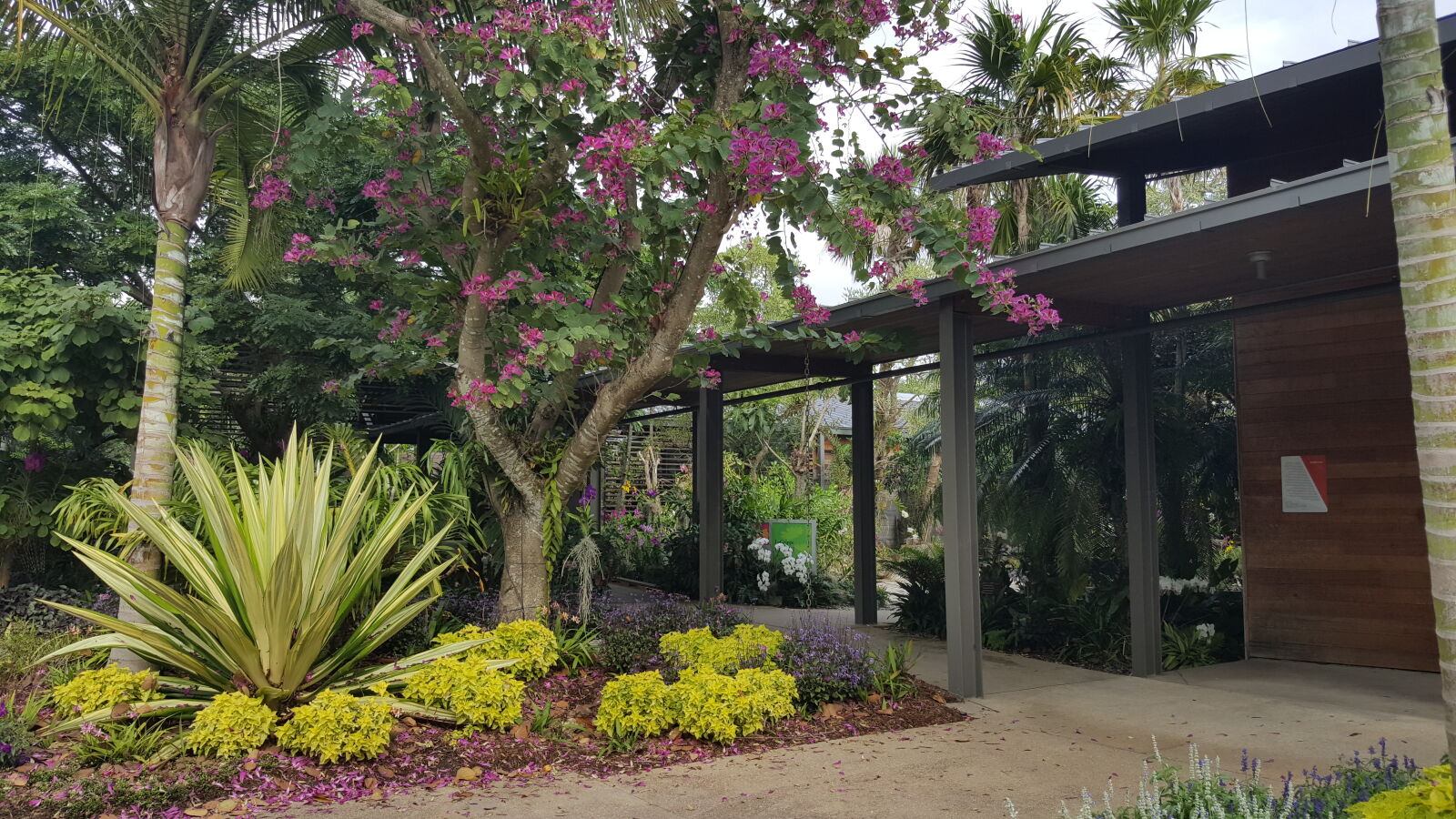 Samsung GALAXY S6 edge sample photo. Botanical, gardens photography