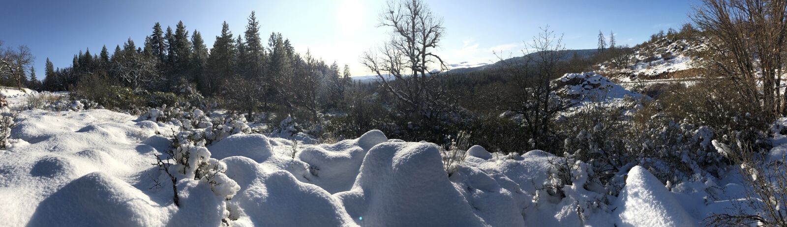 iPhone 8 Plus back camera 3.99mm f/1.8 sample photo. Scenic, winter, landscape photography