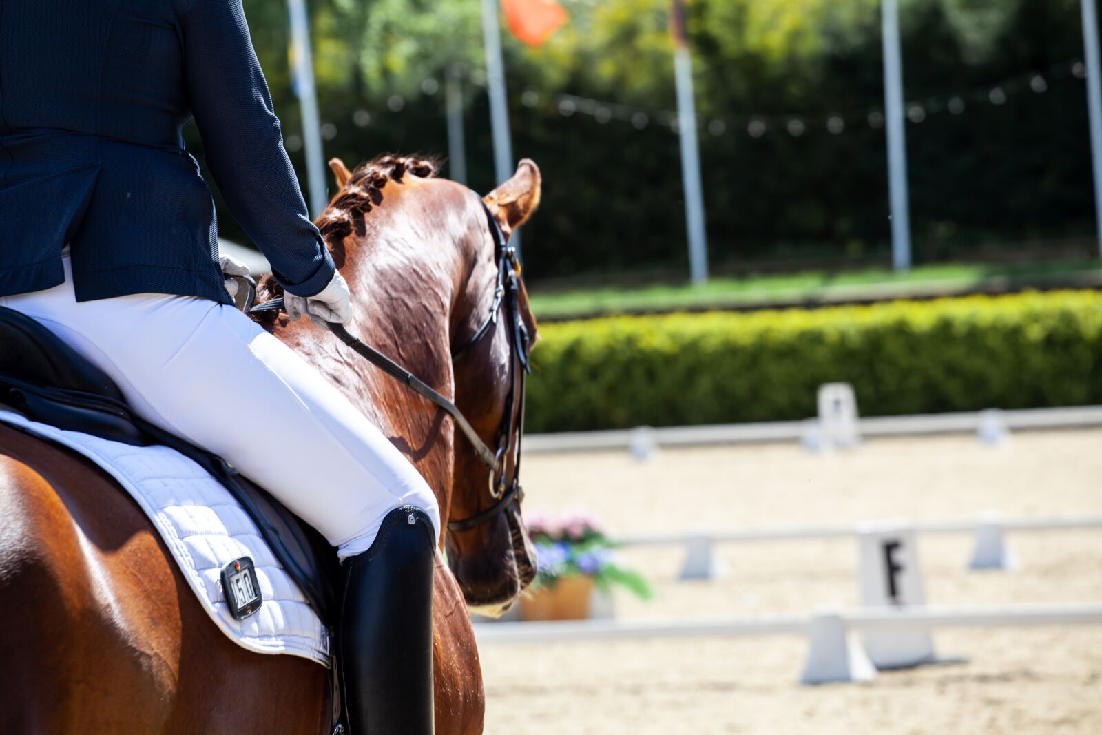 Canon EOS 5D Mark II sample photo. Dressage, horses, equine photography