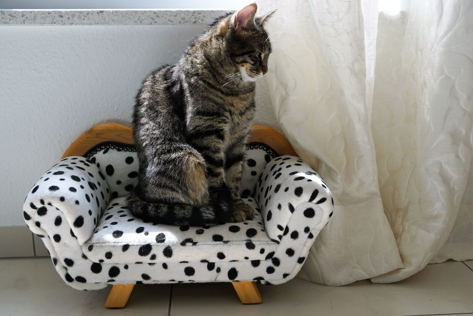 Sony ILCA-77M2 + Sony DT 16-50mm F2.8 SSM sample photo. Sit, sofa, family photography