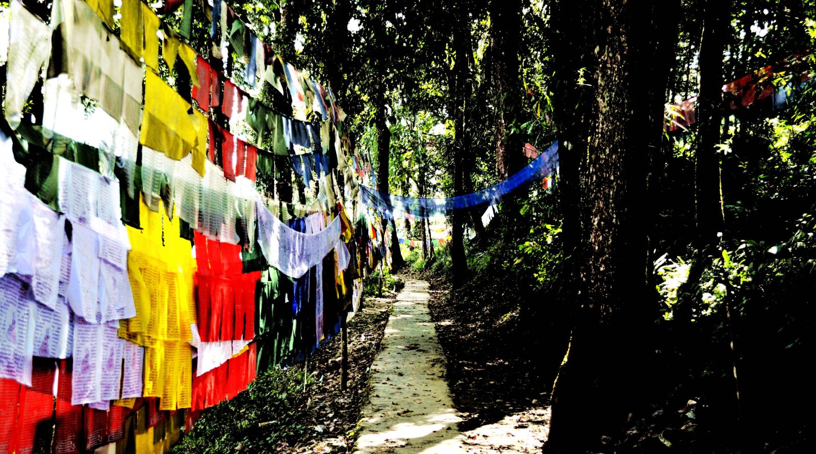 Nikon D5100 sample photo. Peace, flags photography