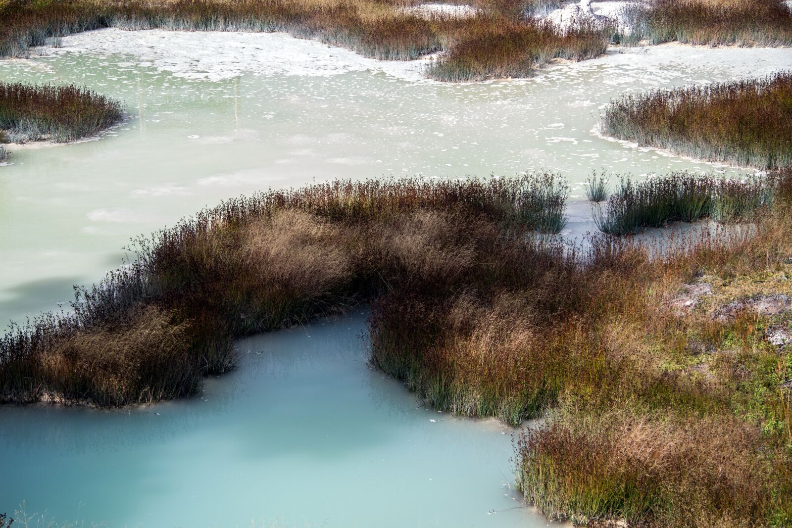 Canon EOS 7D sample photo. Yellowstone national park, wyoming photography