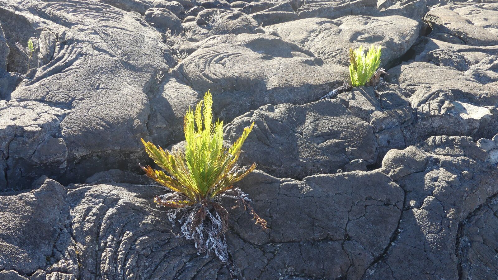 Panasonic Lumix DMC-FZ300 sample photo. Island, volcano, lava photography
