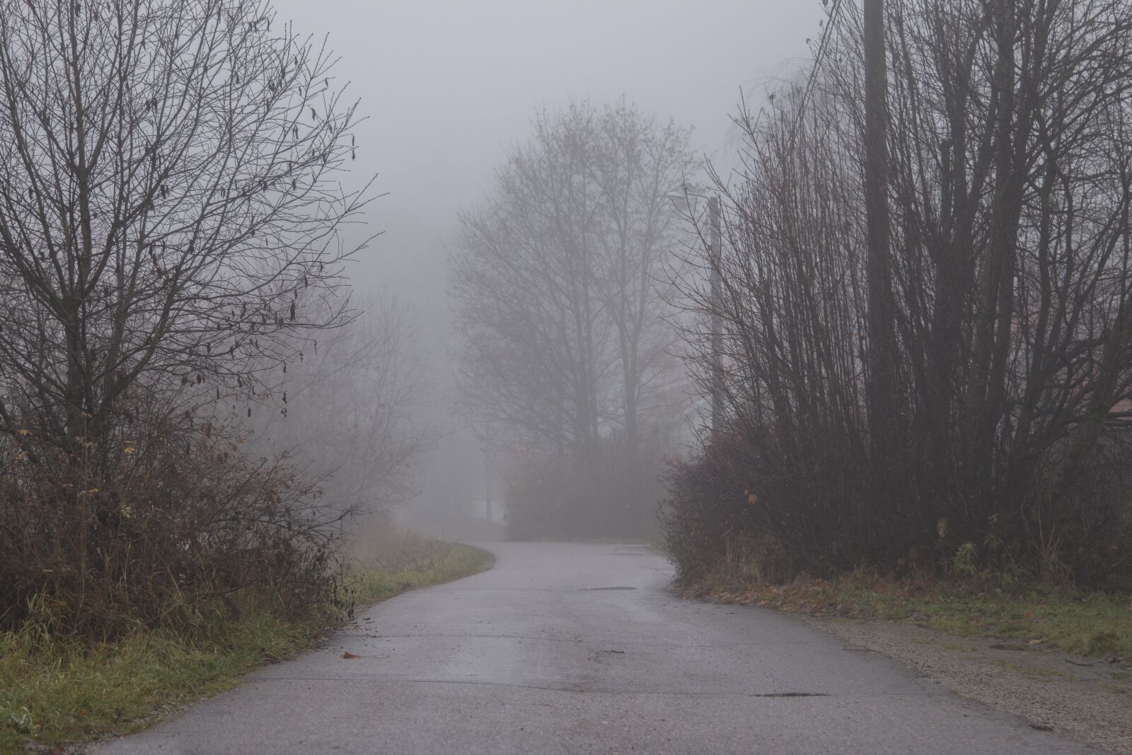 Canon EOS 70D + Canon EF 24-105mm F4L IS USM sample photo. Mist, fog, road photography