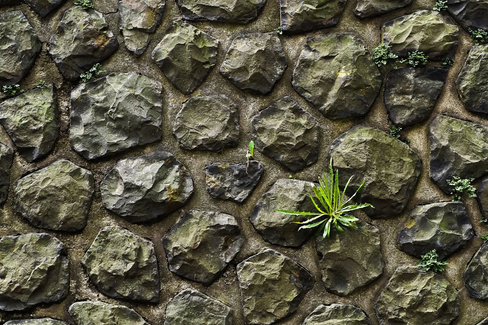 Olympus OM-D E-M10 sample photo. Wall, stone, stone wall photography