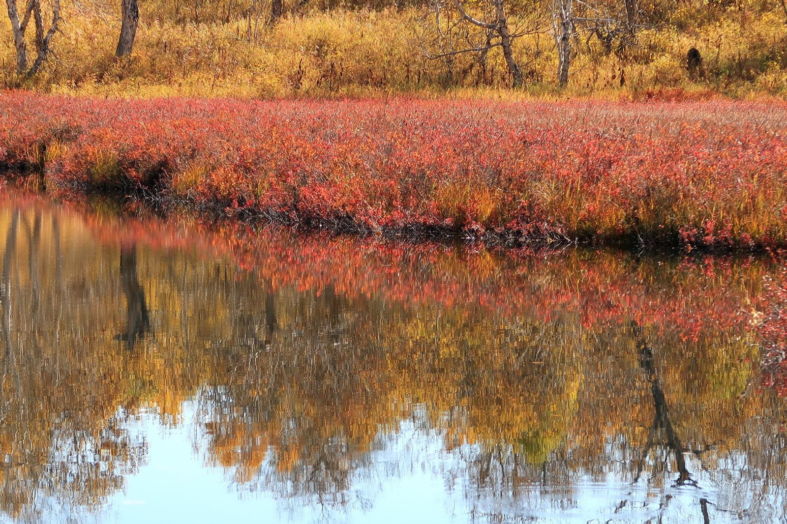 Canon PowerShot G7 X Mark II sample photo. Autumn, lake, beach photography