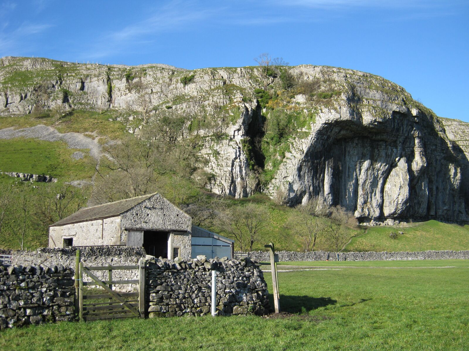 Canon PowerShot A480 sample photo. Nature, england, dales photography