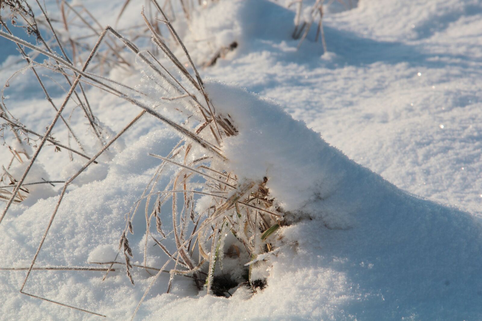Canon EOS 550D (EOS Rebel T2i / EOS Kiss X4) sample photo. Snow, winter, sweden photography