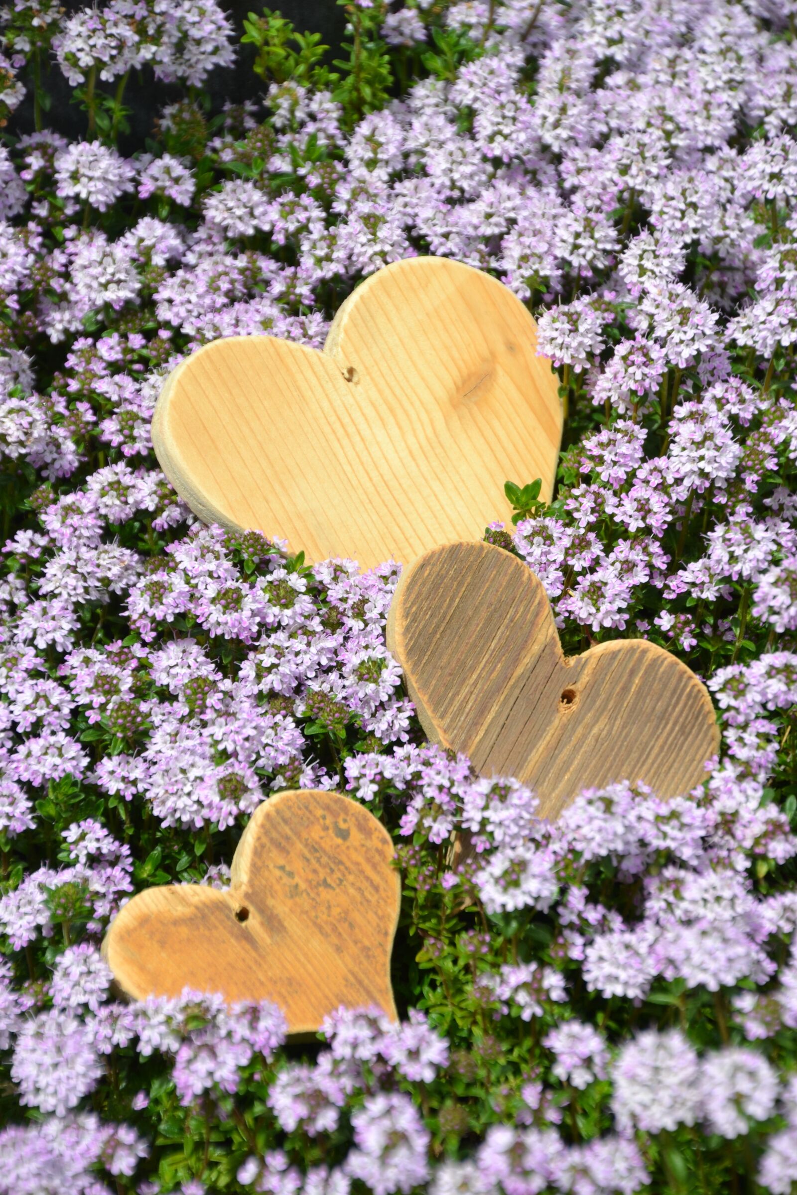 Nikon D3100 sample photo. Love, heart, mother's day photography