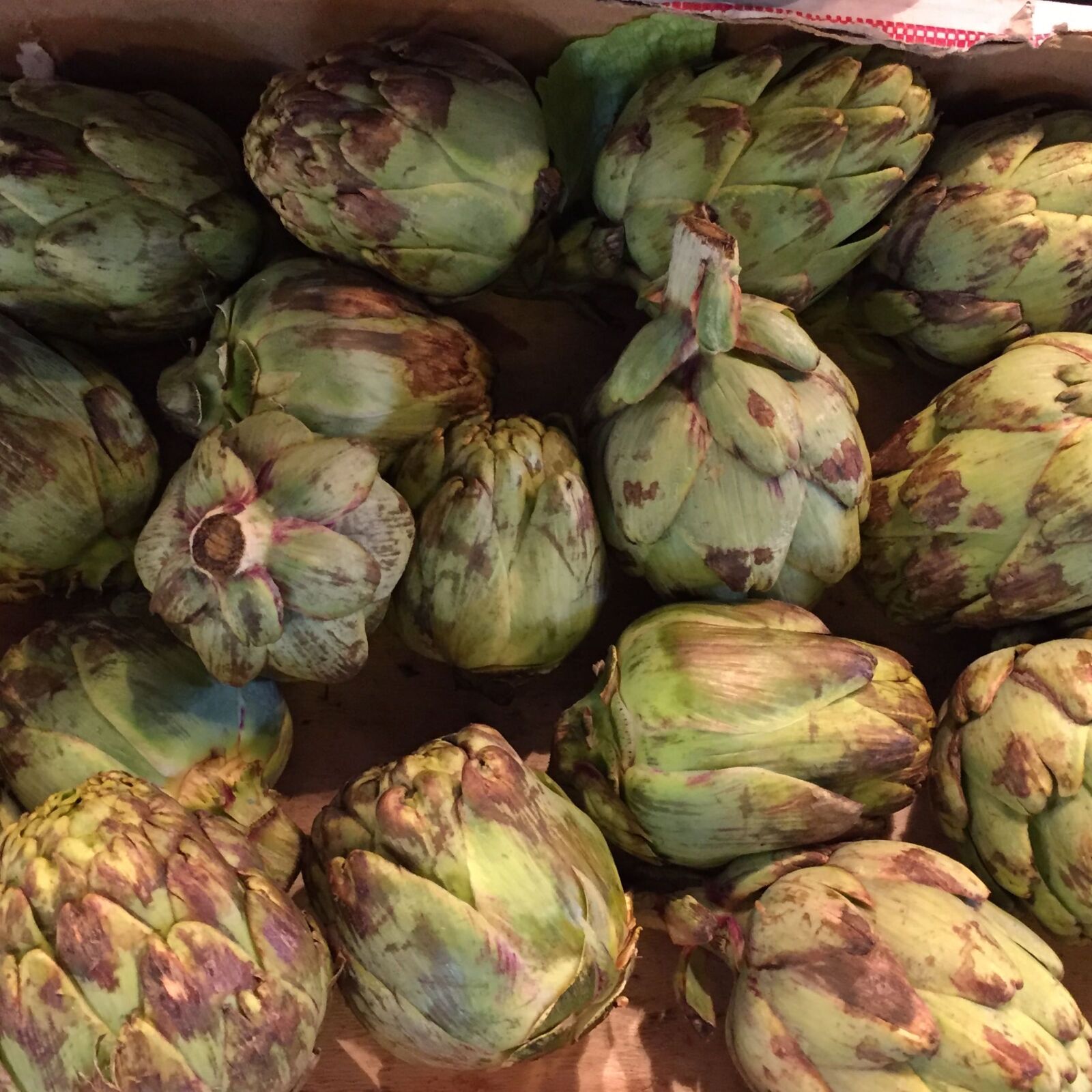 iPhone 6 back camera 4.15mm f/2.2 sample photo. Fresh, vegetable, globe, artichoke photography