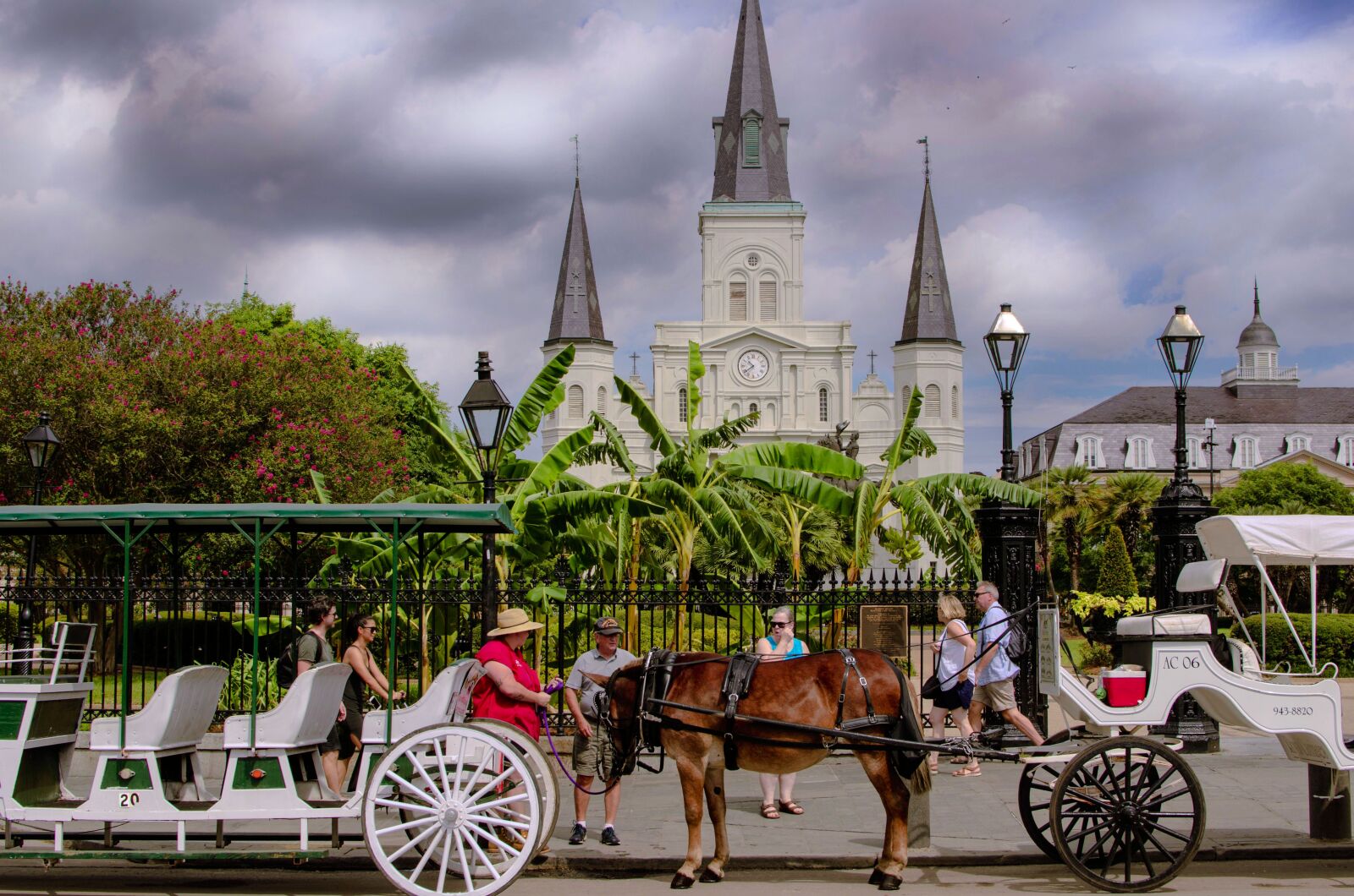Nikon D7000 sample photo. New orleans, louisiana, parade photography