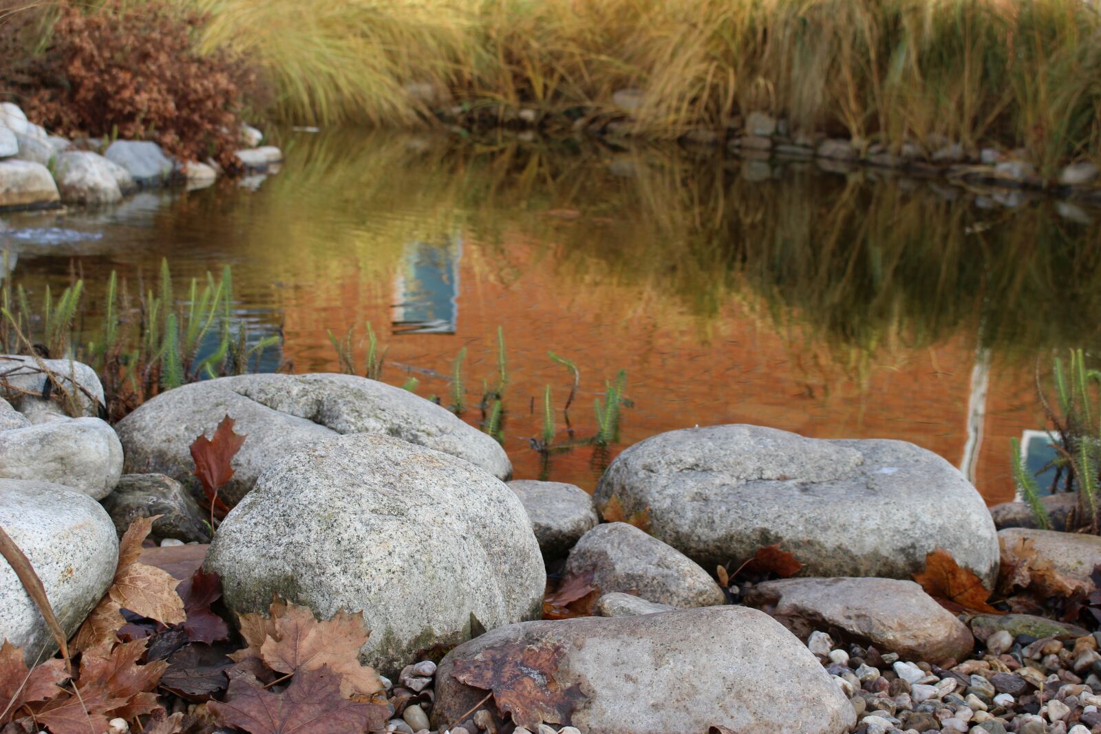 Canon EOS 100D (EOS Rebel SL1 / EOS Kiss X7) sample photo. Water, lagoon, stones photography