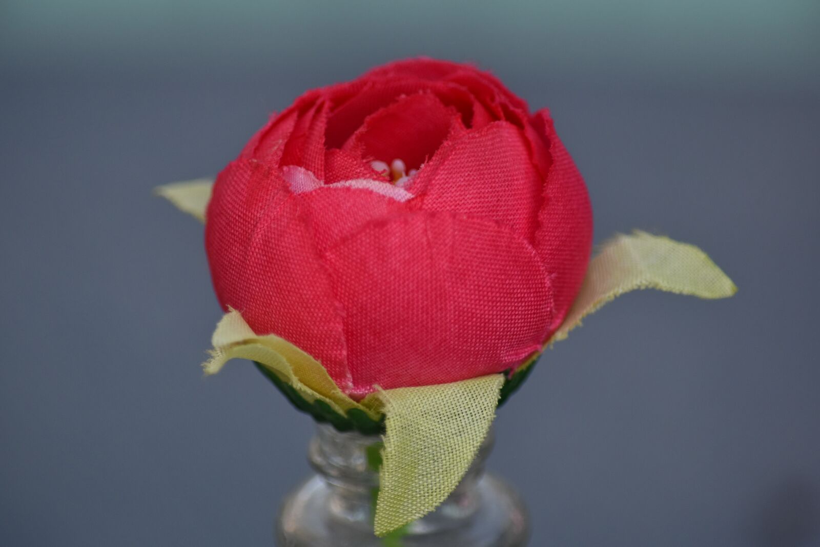 Nikon D5500 sample photo. Object, plastic, still life photography