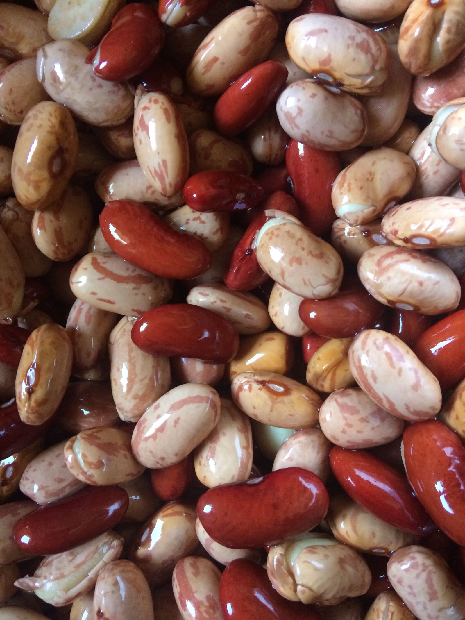iPhone 5s back camera 4.15mm f/2.2 sample photo. Beans, bean, food photography
