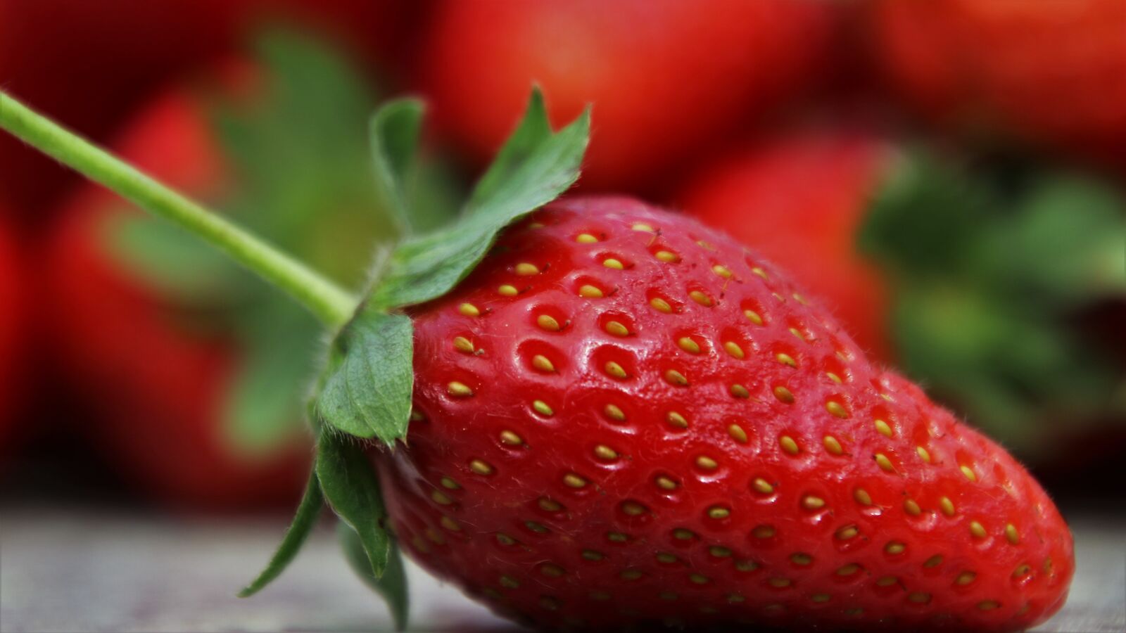 Canon EOS 80D sample photo. Strawberry, red, fruit photography
