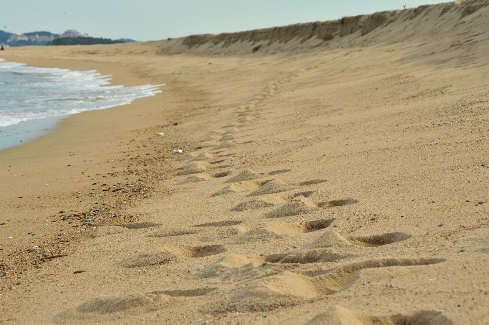 Nikon D700 sample photo. Beach, footprint, sand photography
