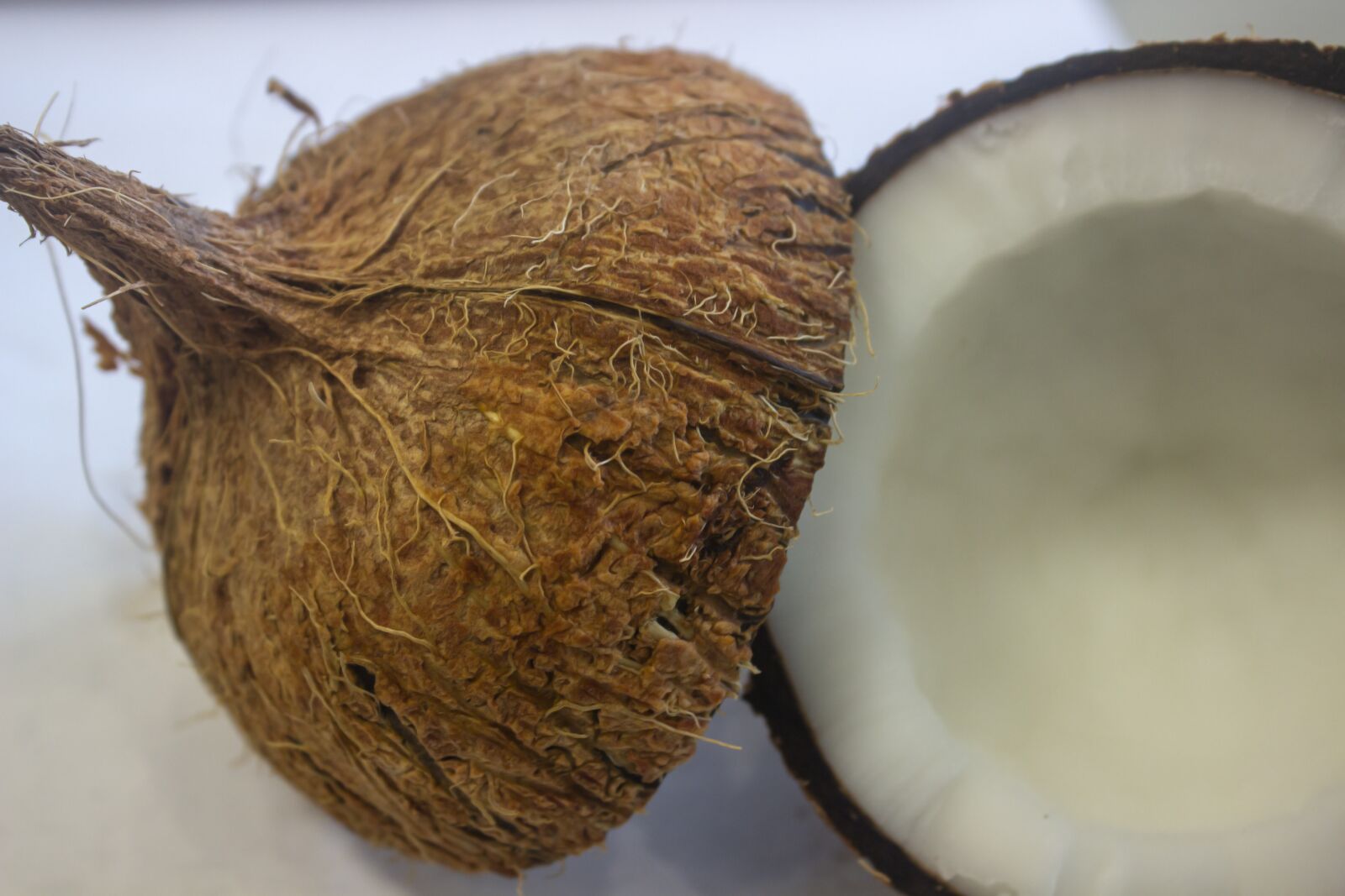Canon EOS 600D (Rebel EOS T3i / EOS Kiss X5) sample photo. Coconut, white, natural photography