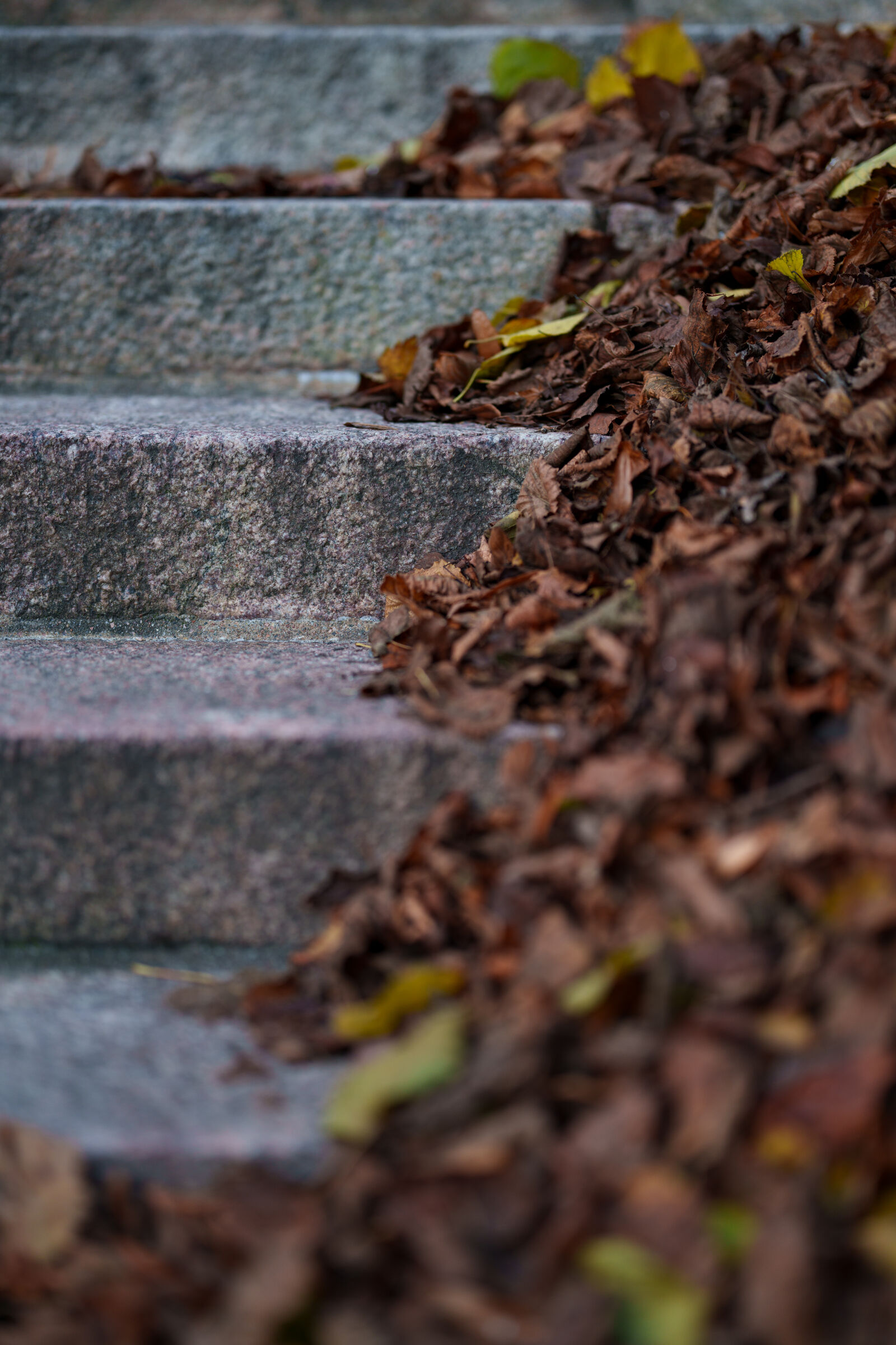 Sony FE 85mm F1.4 GM II sample photo. End of season staircase photography