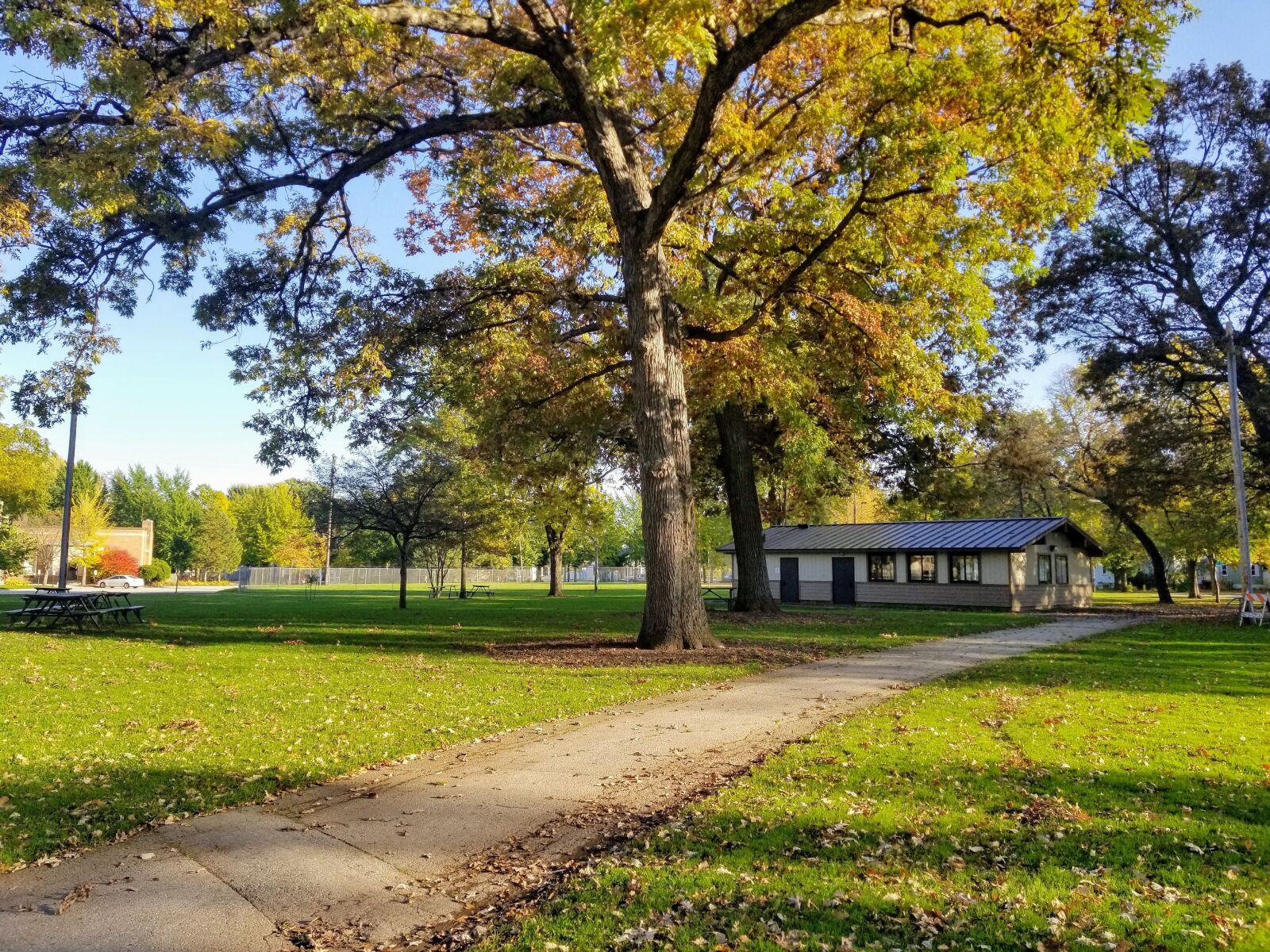 Samsung Galaxy S8 sample photo. Fall, park, autumn photography
