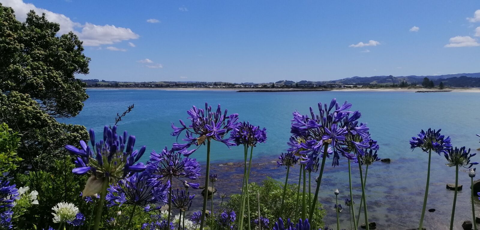 HUAWEI nova 3i sample photo. Nature, new zealand, beach photography