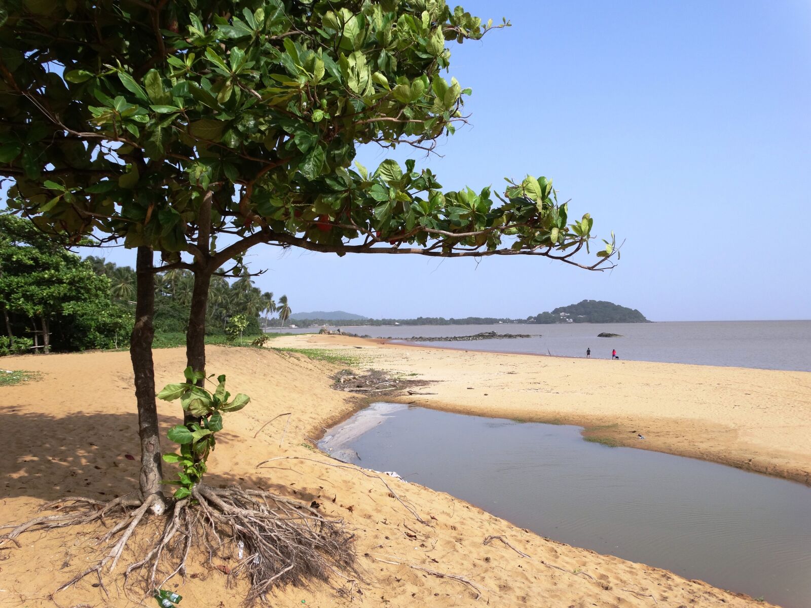 Sony Cyber-shot DSC-HX300 sample photo. Beira mar, orla, cayenne photography